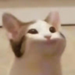 Meet your Posher, Cameron